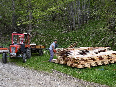 Aus dünnem Schneebruchholz wurde Dank der minimalen 2mm-Schnittfuge der LT15-Schmalbandsäge statt Brennholz ein wertiger Holzstapel !
